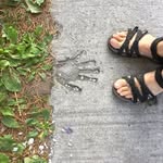 Susan Bain - @susan.bain - Instagram