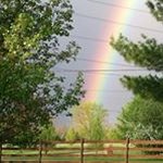 Susan Bair - @susan.bair.9 - Instagram
