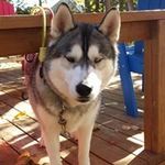 Susan Baird - @susan.baird.984 - Instagram