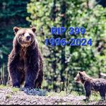 Susan Ballou - @susanballouphotography - Instagram