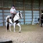 Susan Baptiste - @flyingponies30 - Instagram
