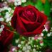 Susan Baptiste - Facebook