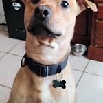 Susan Barger - @sbarger756 - Instagram