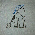 Susan Barrow Wright - @canine_communications - Instagram
