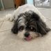 Sue Gingerich Barshinger - Facebook