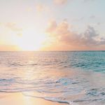 Susan Bartels - @susan.m.bartels - Instagram