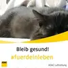 susannbartels - @susannbartels - TikTok