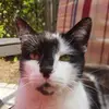 Susanne Bartels402 - @susannebartels402 - TikTok