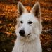 Susanne Bartelt - Facebook