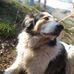 Susana Bartz - Facebook
