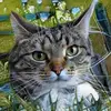 susanbashore51 - @susanbashore51 - TikTok