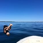 Susan Basil - @susanbasil5 - Instagram