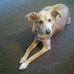 Susan Baskerville - Facebook