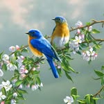 Susan Jones Baskin - @susan_b_59 - Instagram