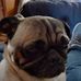 Susan Basler - Facebook