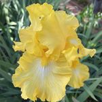 Susan Umbach Basler - @mommanado - Instagram