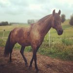 susanne basler - @basler.susanne - Instagram