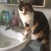 Susan Bath - Facebook