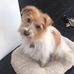 Susan Bath - Facebook