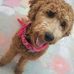 Susan Bathke - Facebook