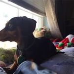 Susan Batton Kessler - @battonkessler - Instagram