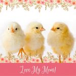 Susan Baylis - @susan.baylis.52 - Instagram