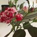 Susan Baylis - Facebook