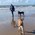 Susan Bayliss - @susan.bayliss.963 - Instagram