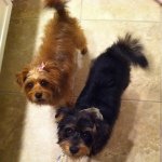Susan Beatty - @spbeatty - Instagram