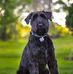 Susan Beatty - Facebook