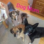 Susan Beatty - @susan_beatty - Instagram