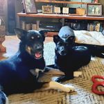 Susan Beatty - @susan.beatty3 - Instagram