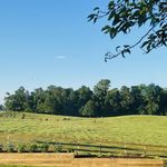 Susan Beatty Carpenter - @susanc46 - Instagram