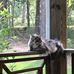 Susan Beaty - Facebook