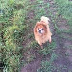 Susan Beaven - @susan.beaven.5680 - Instagram