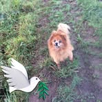 Susan Beaven - Facebook