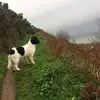 Susan Beaven - @susan.beaven - TikTok