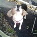 Sue Becknell - Facebook