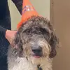 SUSAN BECNEL - @susan.becnel - TikTok