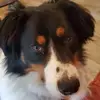 SuzyQ - @susanbicknell2 - TikTok