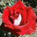 Susan Beecham - Facebook