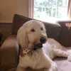 susanbehson - @susanbehson - TikTok
