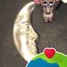 Susan Bello - Facebook