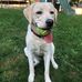 Susan Belyea - Facebook