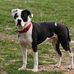 Susan Bemis - Facebook