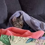 Susan Bemis - @tshirt25 - Instagram