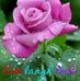 Sue Benge - Facebook