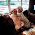 Susan Benning - @sueben579 - Instagram
