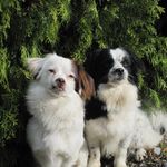 Susan Bennington - @susan.bennington.1 - Instagram