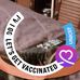 Susan Bent - Facebook